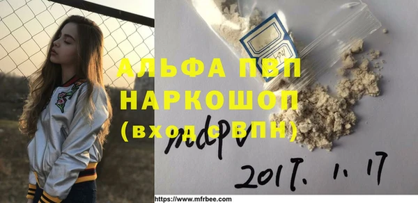 индика Заводоуковск
