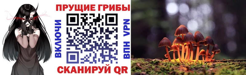 это официальный сайт  Кондрово  Галлюциногенные грибы Psilocybe  где можно купить наркотик 